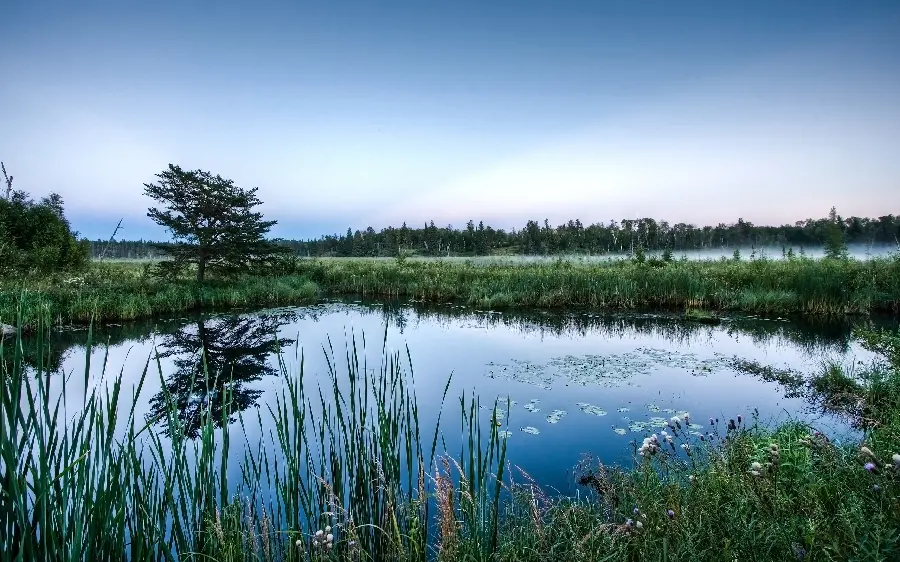 A unique stock photo of energetic nature and a photo of a lush landscape around it in hd quality