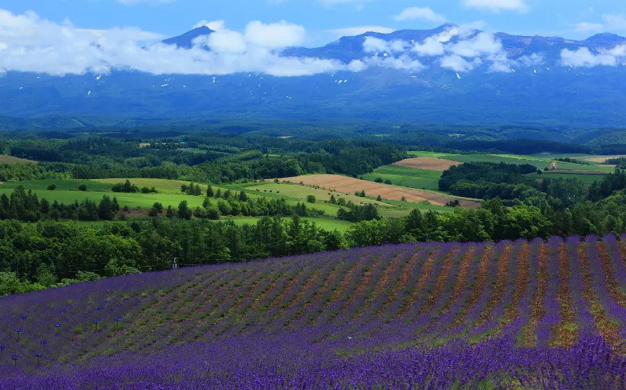 Lovely and relaxing nature wallpaper for widescreens
