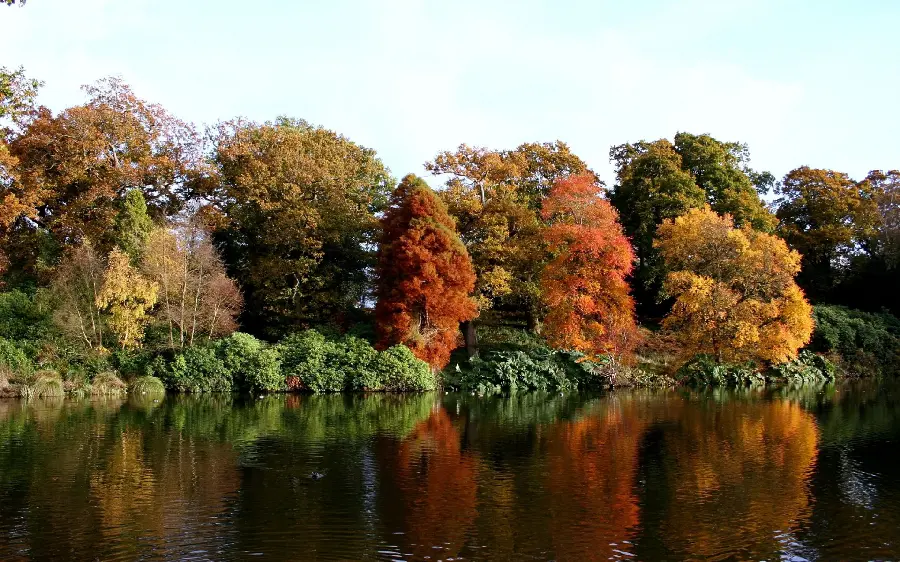 A beautiful autumn landscape around the lake in a special frame suitable for desktop 