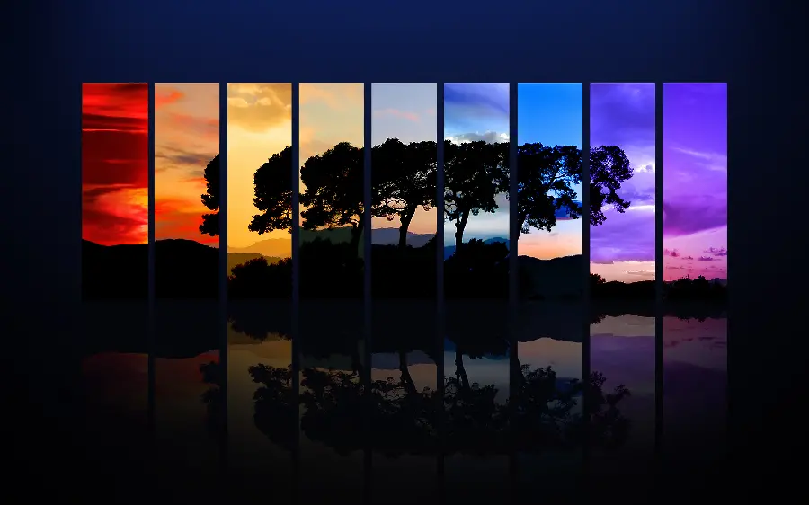 Stylish colorful wallpaper of tree shade in Full HD quality 