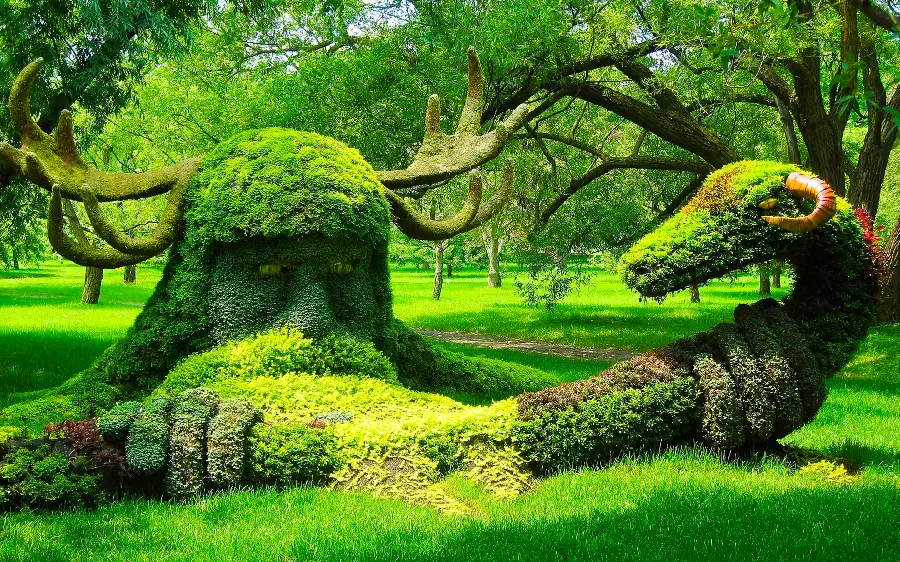 Artistic profile photo in forest nature and a landscape photo of sculptures made with plants FUII HD quality