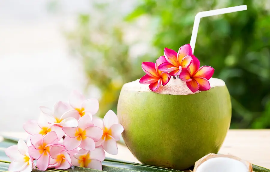 Beautiful and artistic background of a cool green coconut drink next to colorful flowers for Windows 11 wallpaper