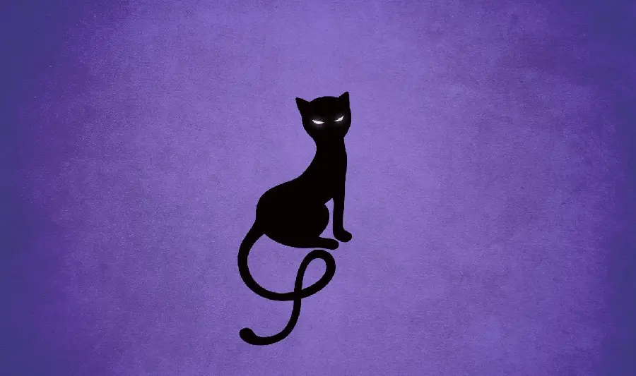 A dreamy graphic image of a black cat with a purple background