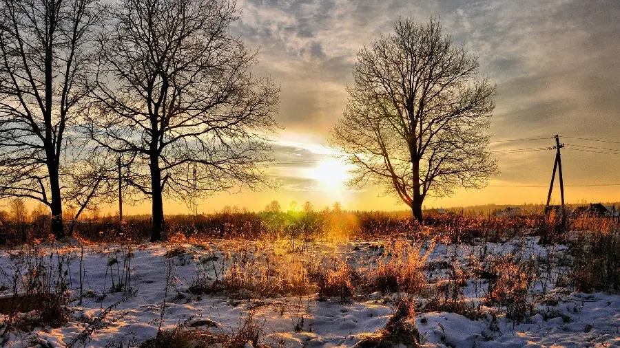  Incredible landscape pictures of nature with leafless trees and snow on the ground
