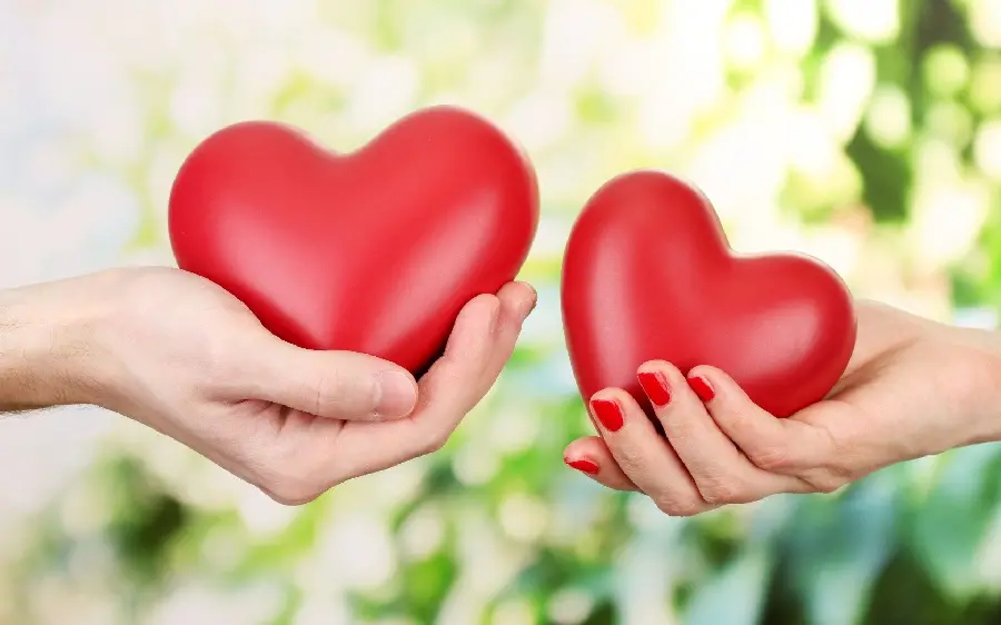 Love photo of two beautiful red hearts in hands to print on a chassis board