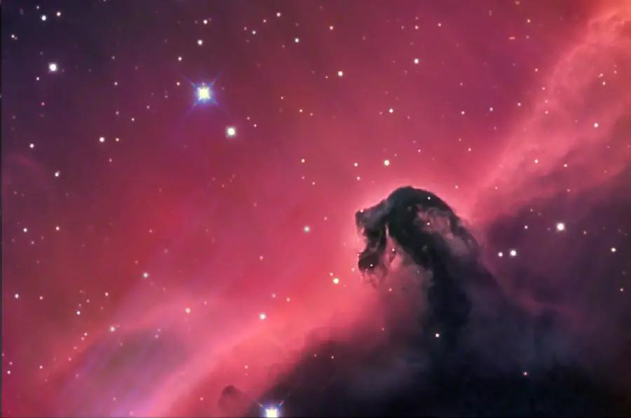 A Beautiful and Pink Image of the Luminous Nebula of the Head High quality horse suitable for mobile