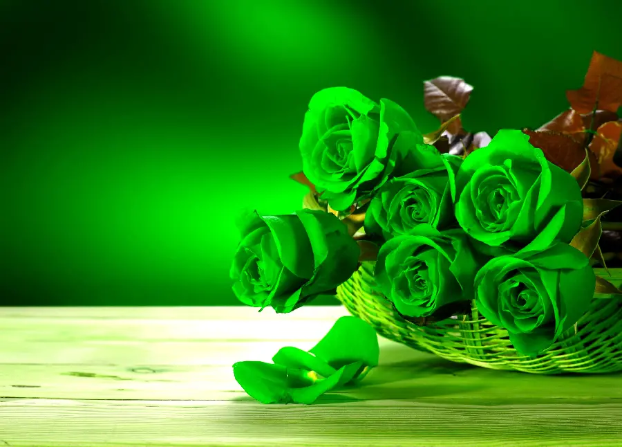 The most beautiful background of a branch of green roses in a beautiful basket with top quality suitable for Windows