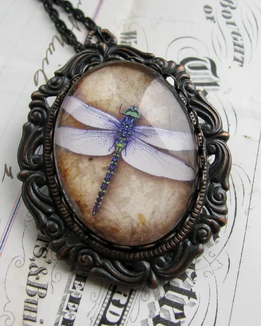 Beautiful necklace from dragonfly image