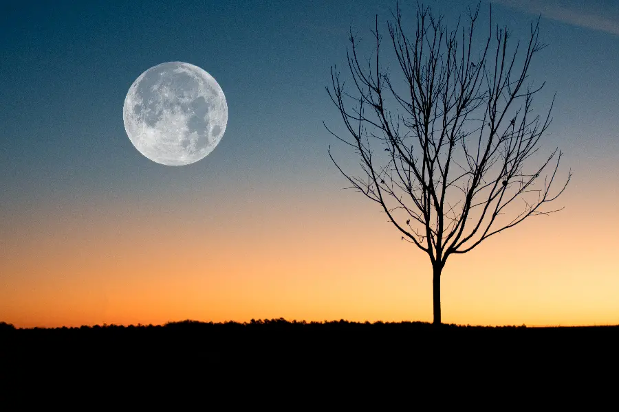 New and Special view of the beautiful sky with the moon