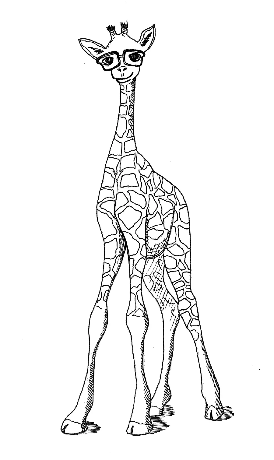 Cute and lovely giraffe raw design photo with original quality