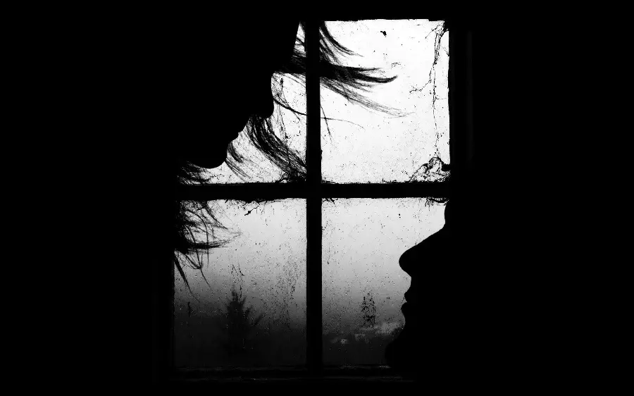 Artistic Frame of Wet Window with Black and White Color Theme Full HD