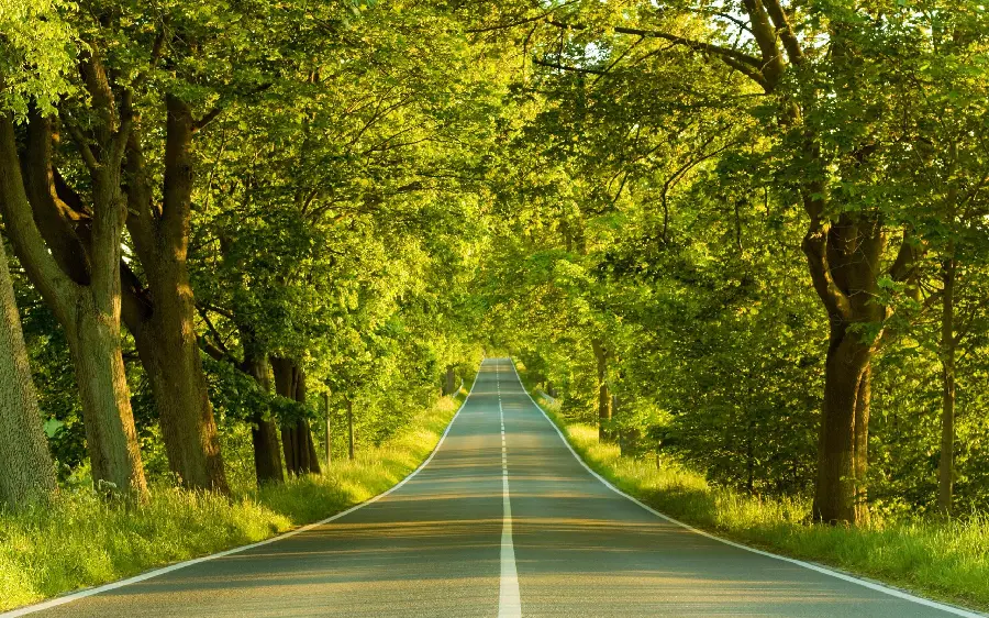 Download stock photo of a long road in the heart of lush and beautiful nature