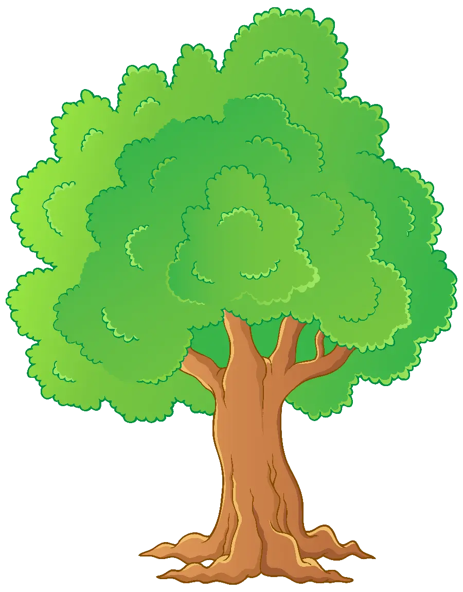 The most viewed PNG cartoon of a green tree with special and spectacular details