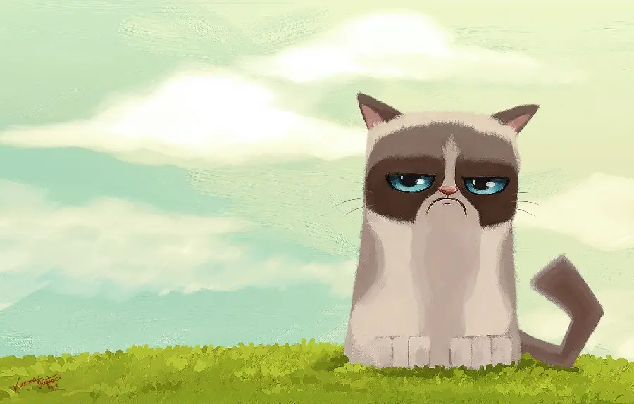 New graphic background photo of a blue-eyed cat in nature