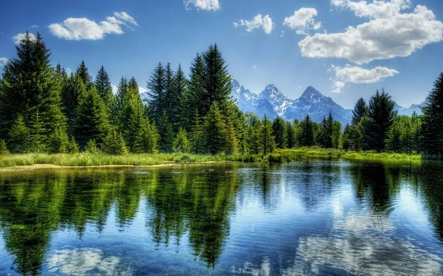 Popular wallpaper of the nature of the forest by the lake with the best quality for the phone 