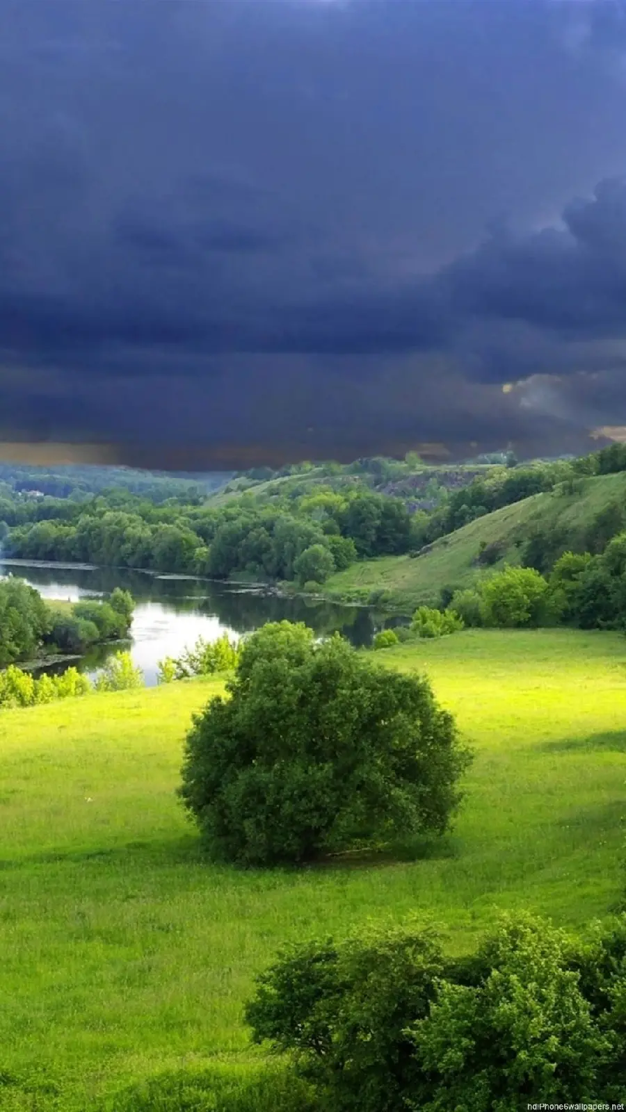 The most beautiful photo Green Nature Background for Samsung 