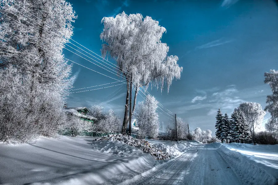 Magical wallpaper of winter nature under the blue sky for Windows 12
