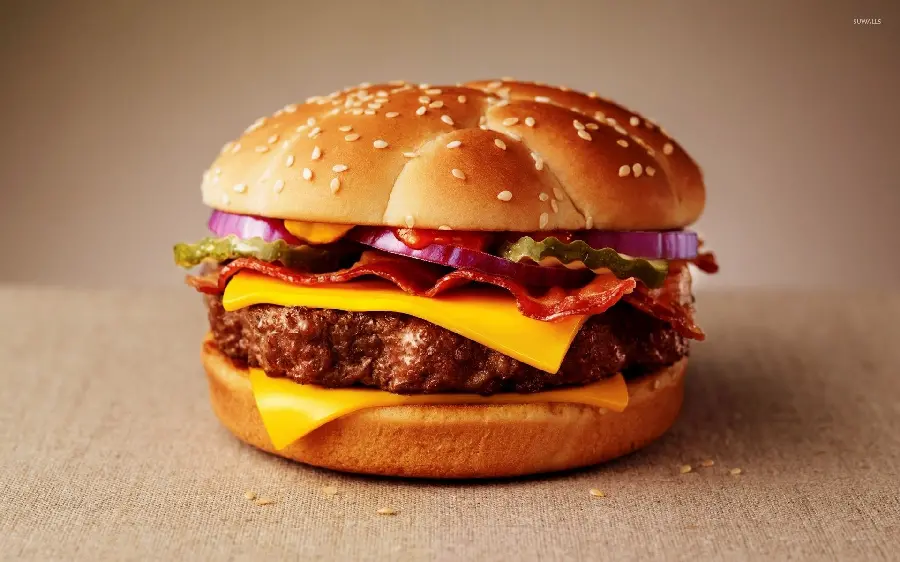 Stylish and Luxurious View of Hamburger for Instagram Post HD