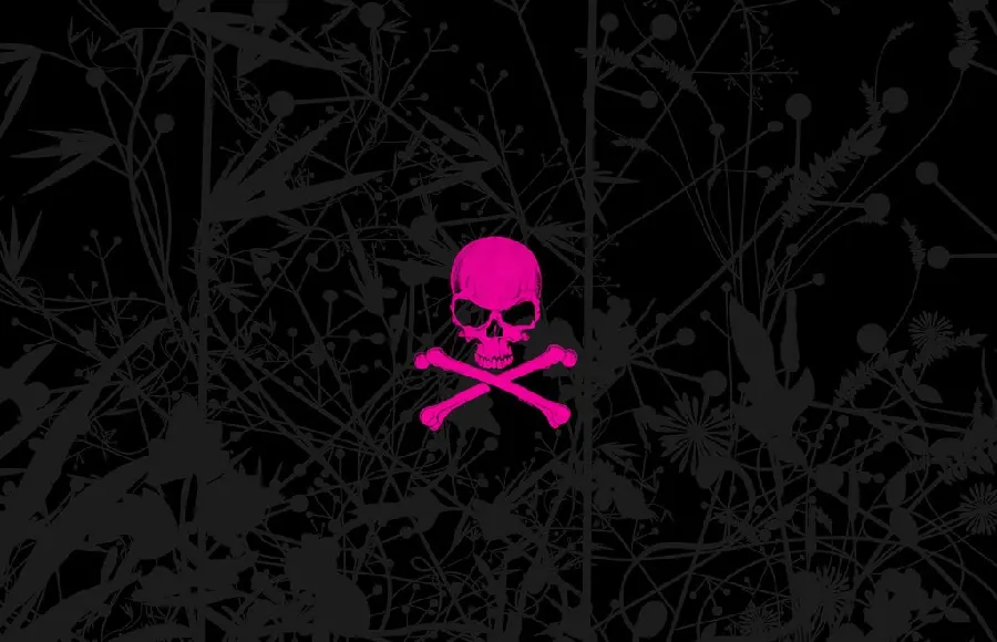 New Stylish Full HD Pink Skull Wallpaper 