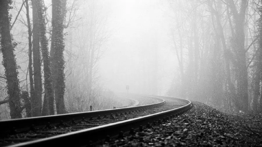 Scenic view of the train tracks in the middle of the foggy black and white forest 