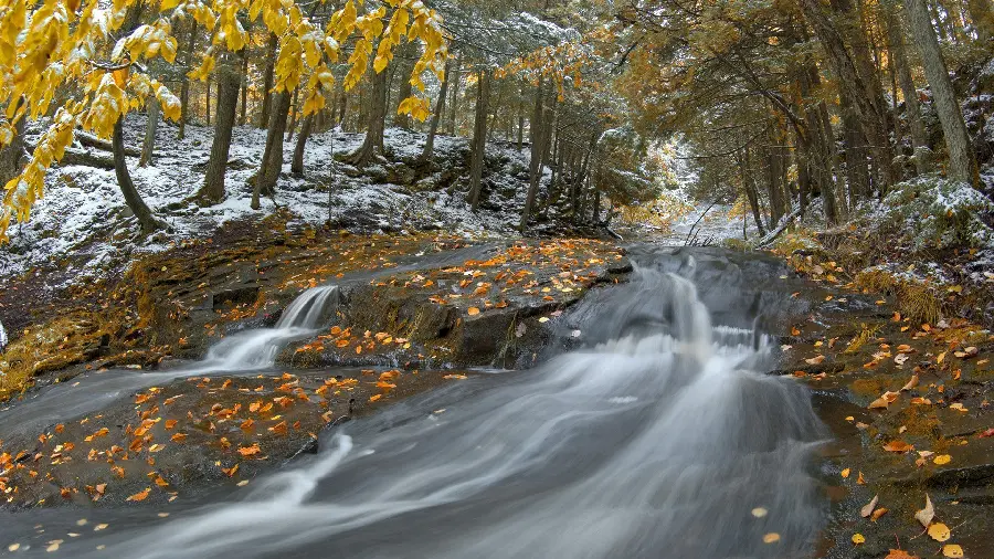 The most viewed computer wallpaper with a lovely autumn river design with 4K quality