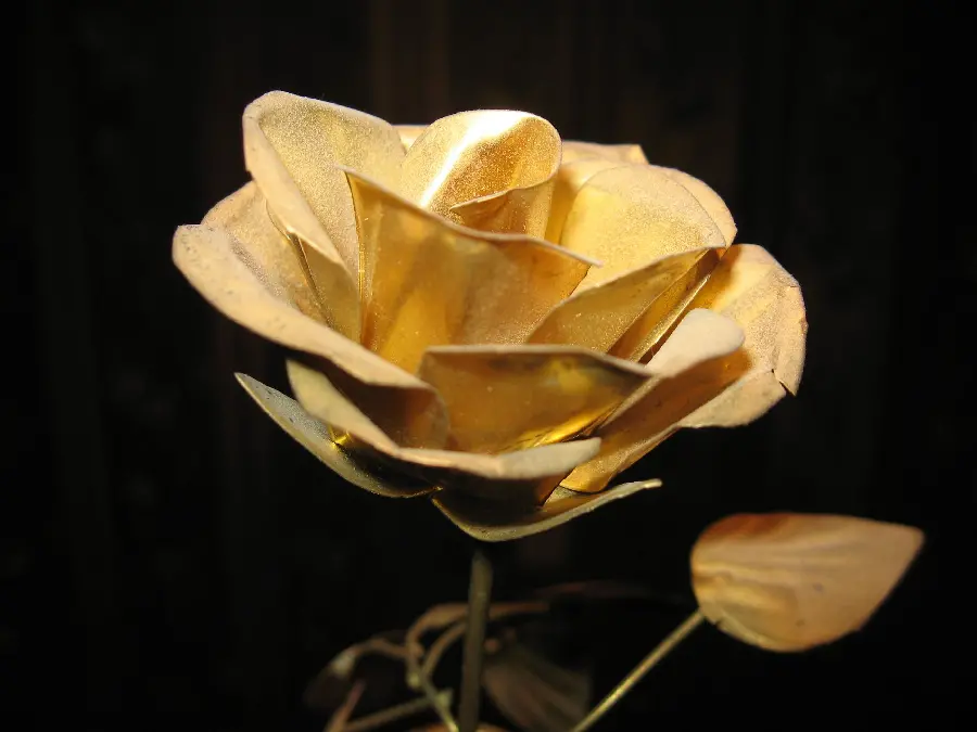 Good quality bright golden flower and leaf image suitable for mobile
