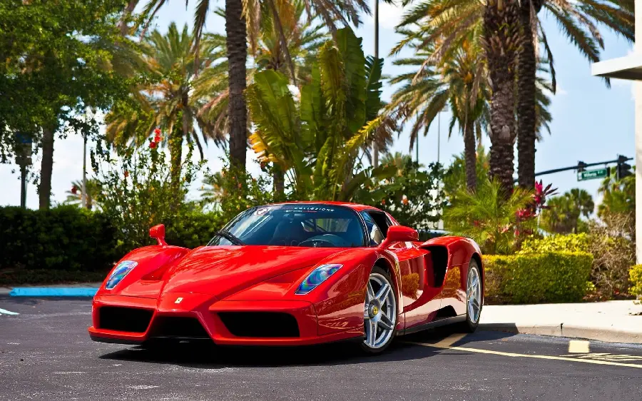 High quality background of a Ferrari Enzo among palm trees suitable for laptops