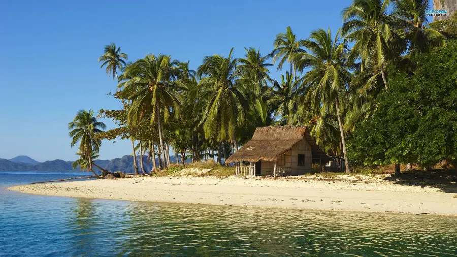 A special attractive computer background of a sunny beach house villa with many trees and the sea in HD quality