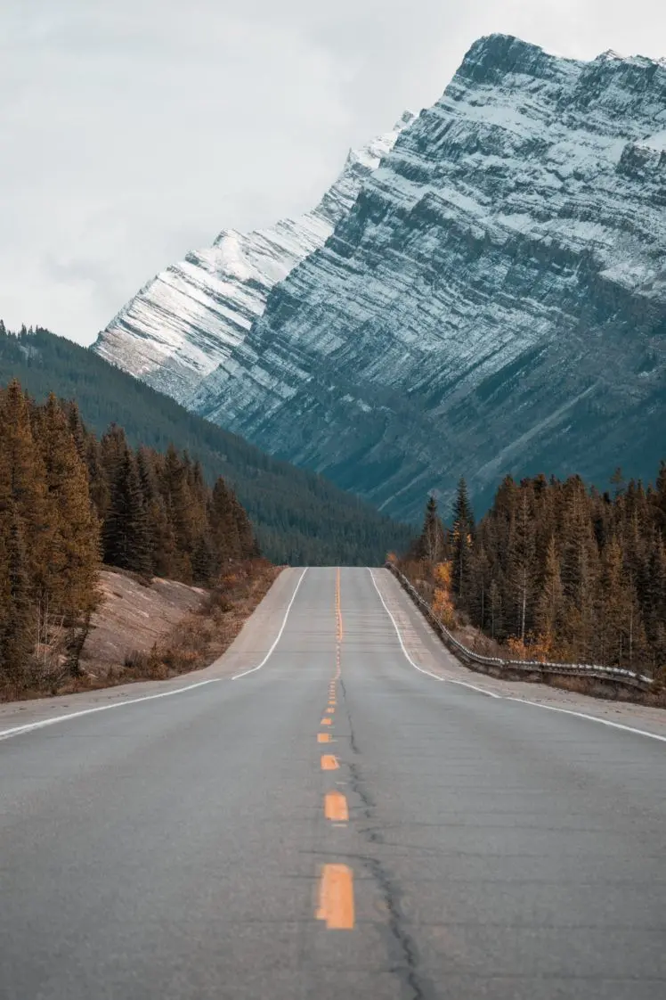 Wide Forest Road Wallpaper Leading to the Mountains 2022