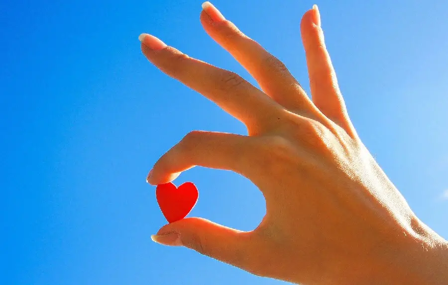 Latest Profile Picture of Little Red Heart in Hand for Telegram and WhatsApp 