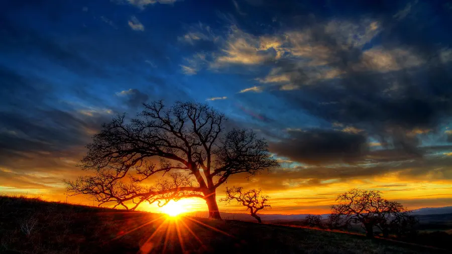 Stunning wallpaper of a sunset in a special color 2022