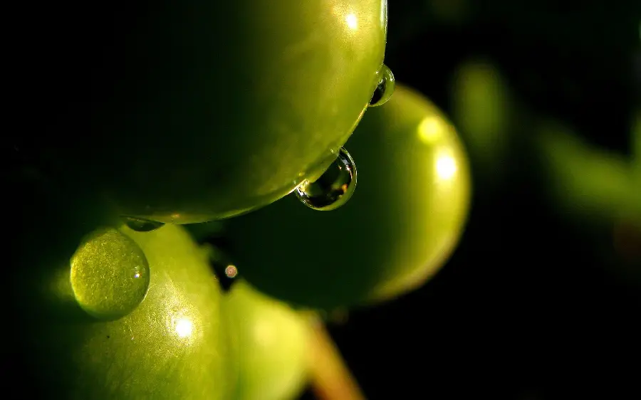 A strange stock photo of olives soaked with raindrops