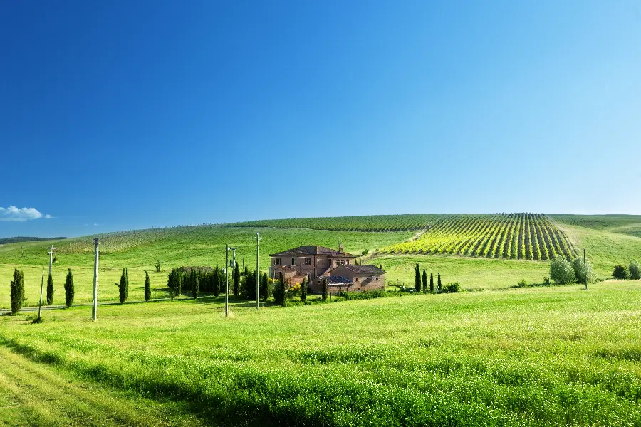 Widescreen nature wallpaper with a rich and interesting color theme 