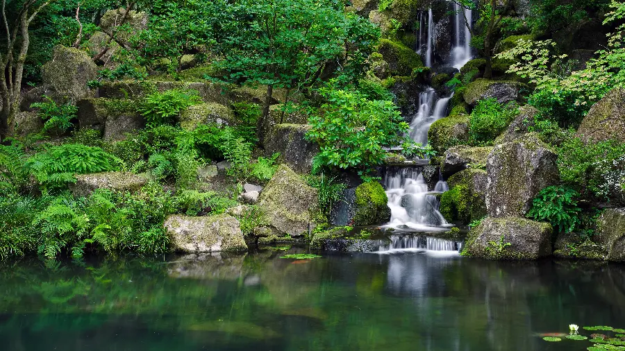 Popular wallpaper of lush nature around the waterfall 