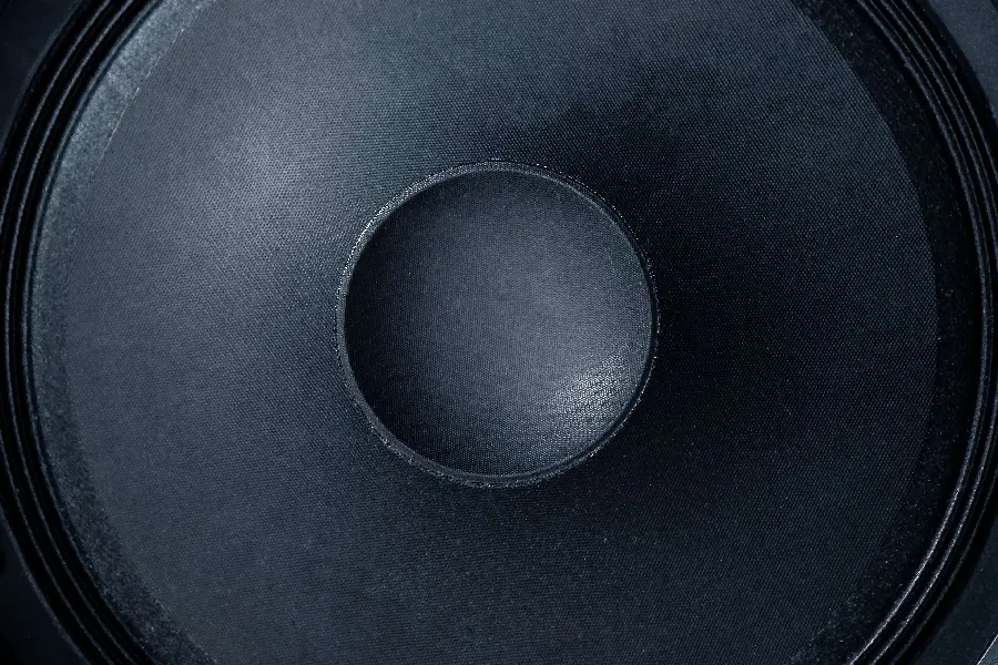 Download a very close-up view of the speaker in Full HD quality
