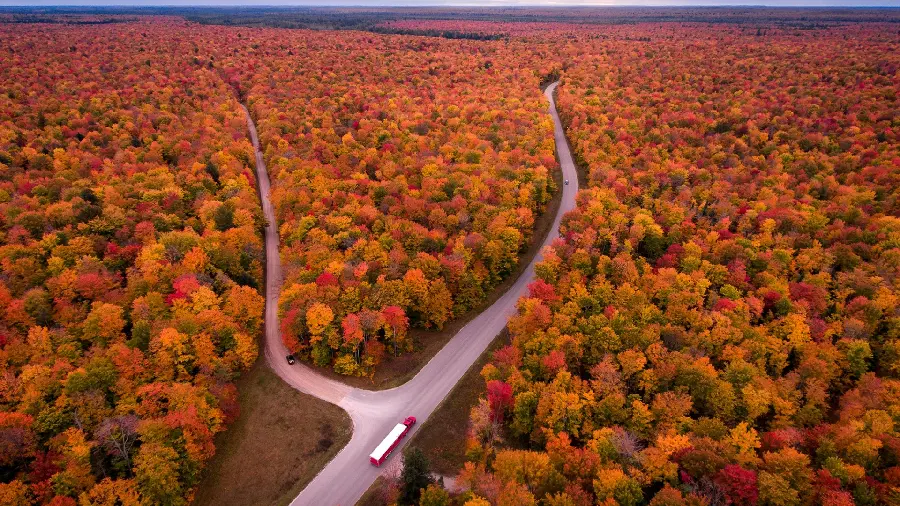Colorful wallpaper for laptop of autumn nature and photo of a landscape of two narrow roads in Heart in HD quality