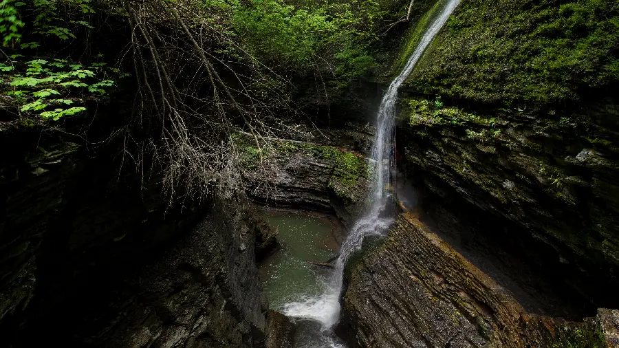 Full HD background of waterfall and lush nature for Windows 11