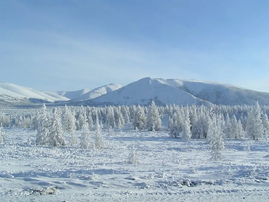 New wallpaper of a charming snowy landscape in Russia 2022