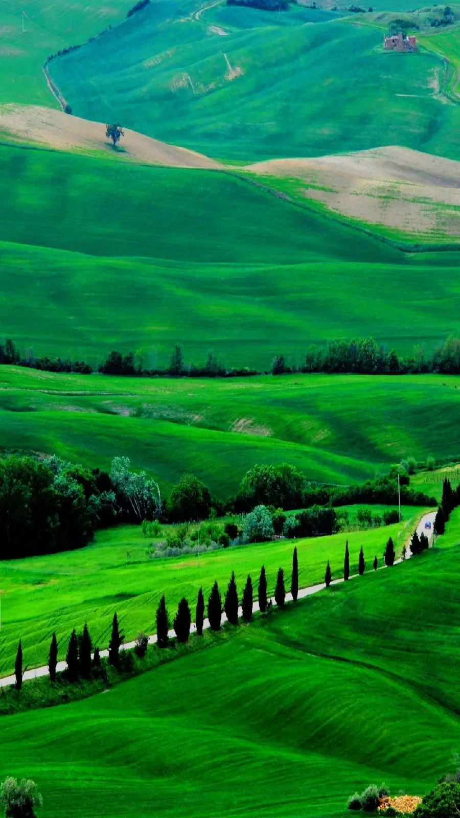 Masterpiece wallpaper with a beautiful and lush nature design 1401
