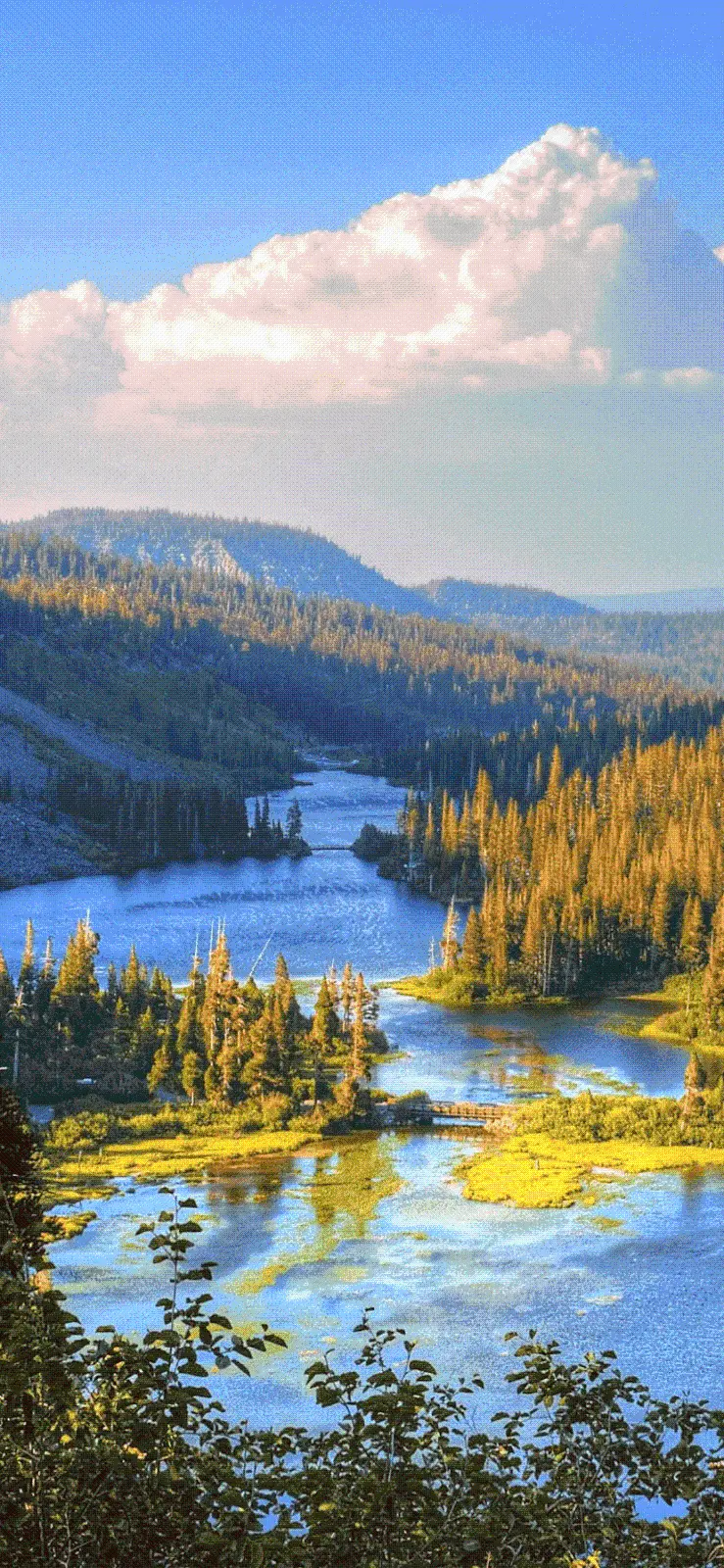 Poster suitable for Android phone with a lake photo and a beautiful view