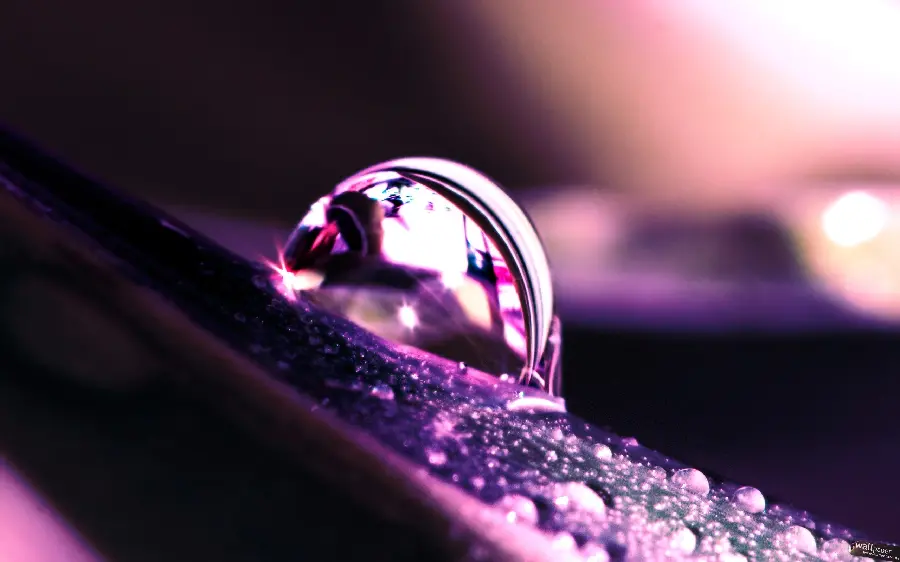 Dew drops on a flower with a purple theme for a laptop background 