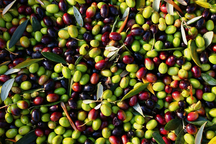 HD quality background and handpicked types of olives suitable for Instagram