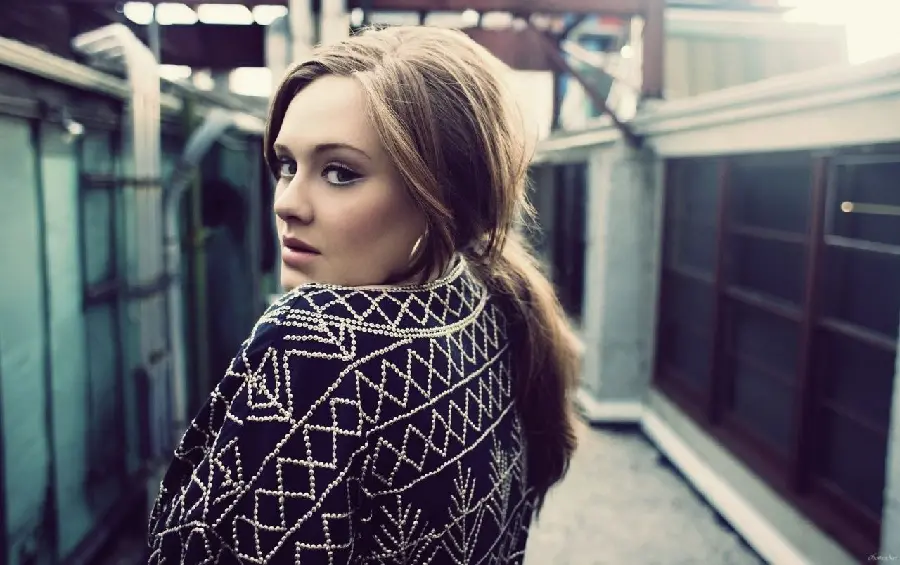 Image Simple and unadorned from a small look to the left of the famous and beautiful British singer Adele