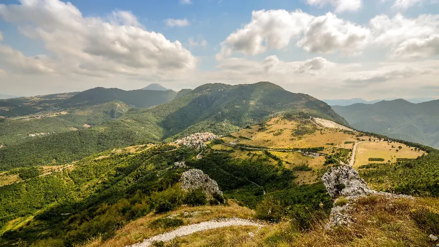 Download new high quality stock images of nature and diverse vegetation