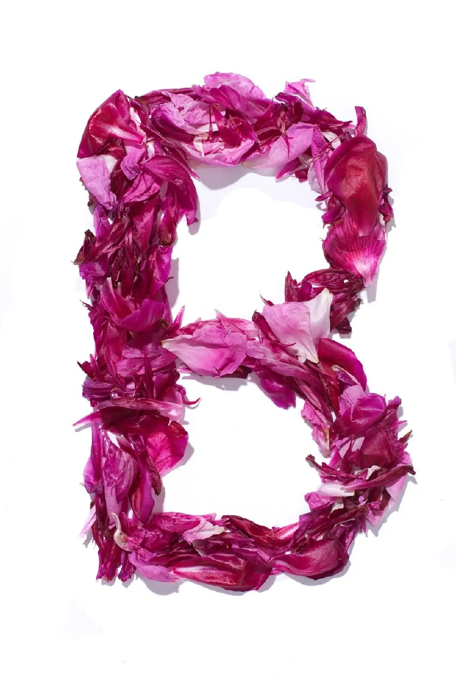 The most beautiful girl's profile picture with the English letter B in 4k quality