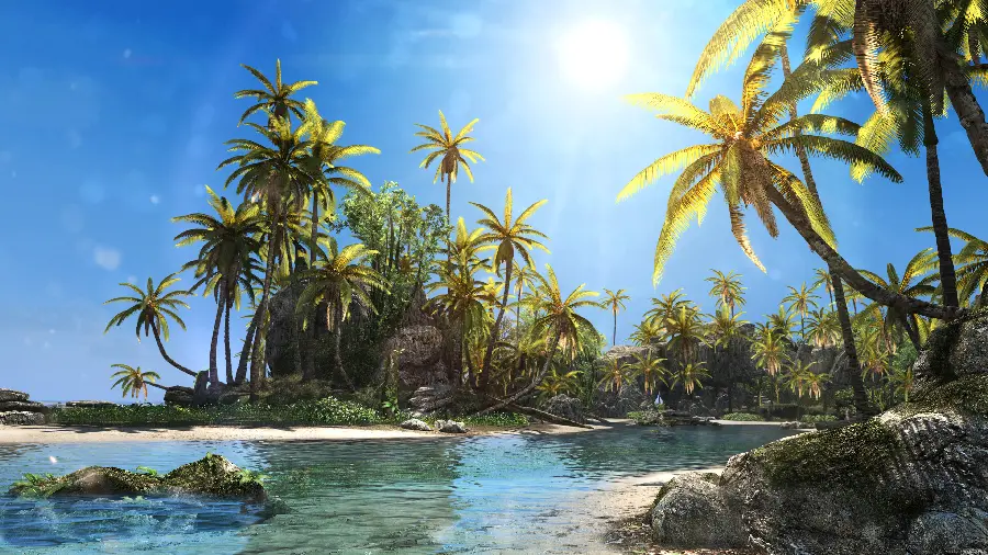 A special view of a summer beach and a heartwarming 4k quality for a profile 