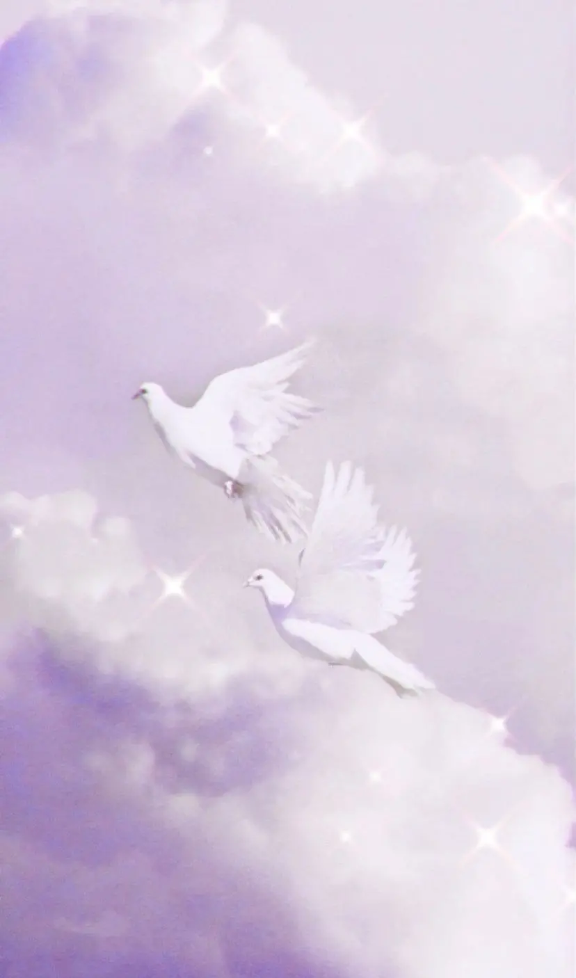 A blurry poster with a purple and shiny background color of 2 white doves opening their wings
