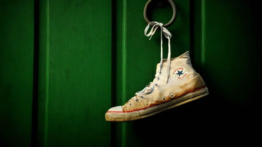 Artistic Masterpiece Photo of All-Star Shoes Hanging on Green Background