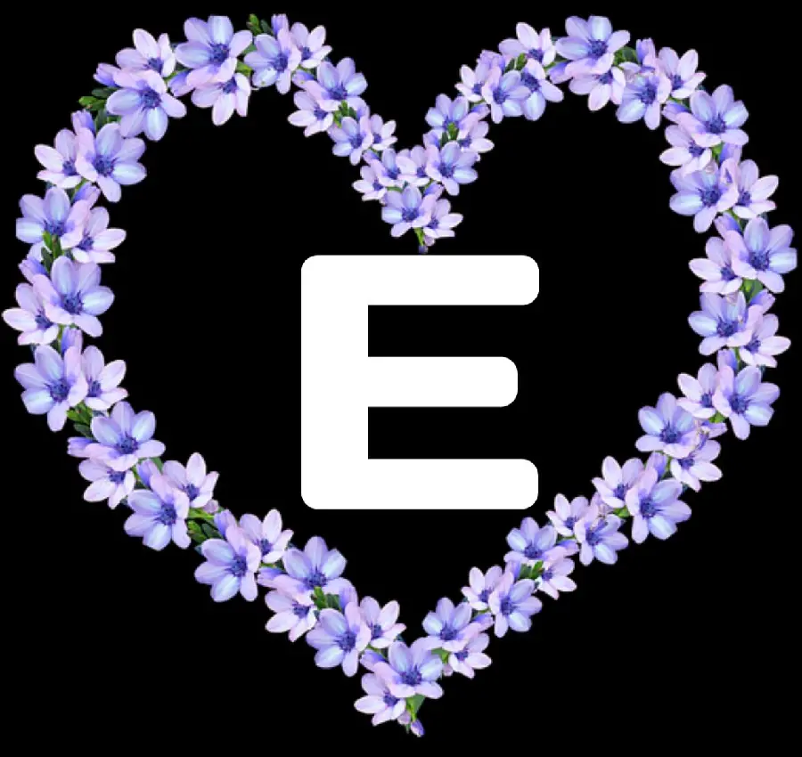 New digital photo of the English letter E with a purple heart border 