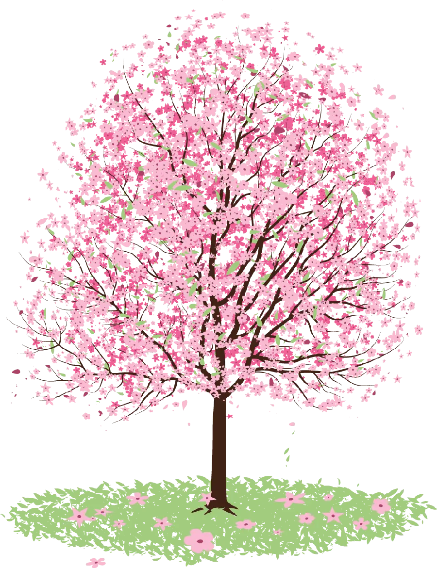 Beautiful PNG image of a tree with cute pink blossoms